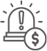 Emergency Expenses